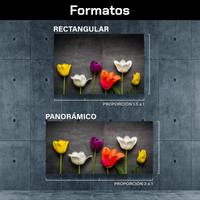 Tulipanes Negro