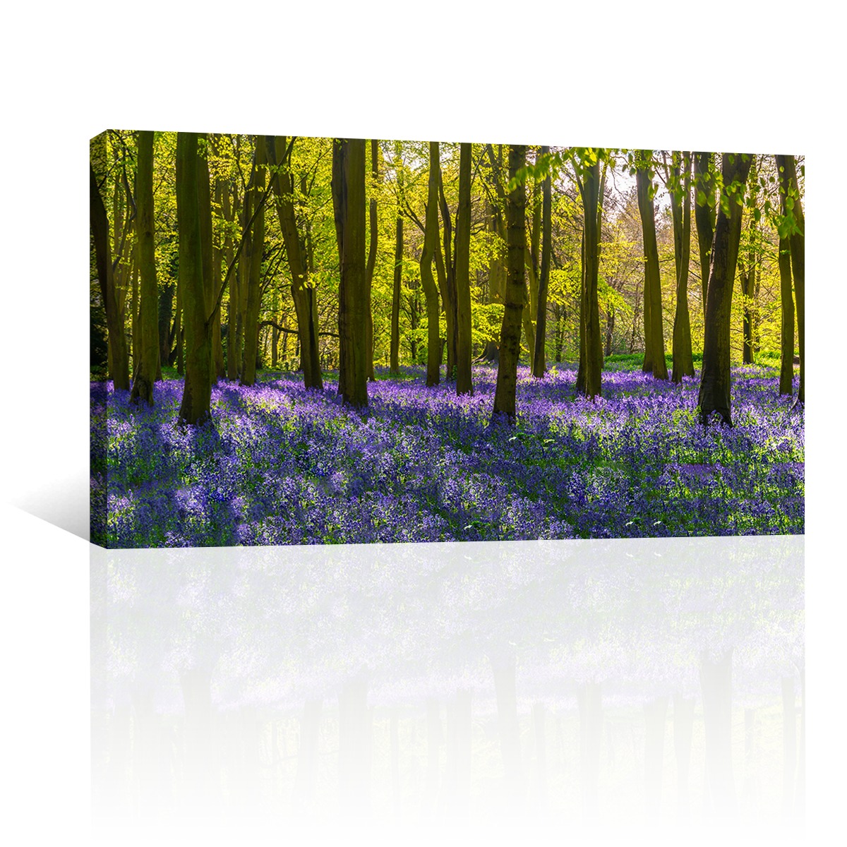 Árboles y Lavanda
