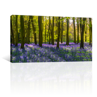 Árboles y Lavanda