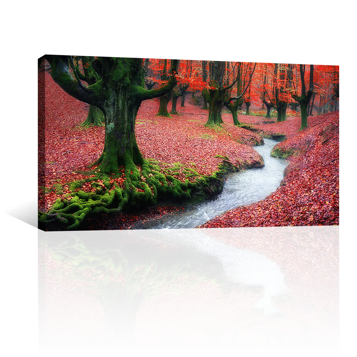 Bosque Corriente