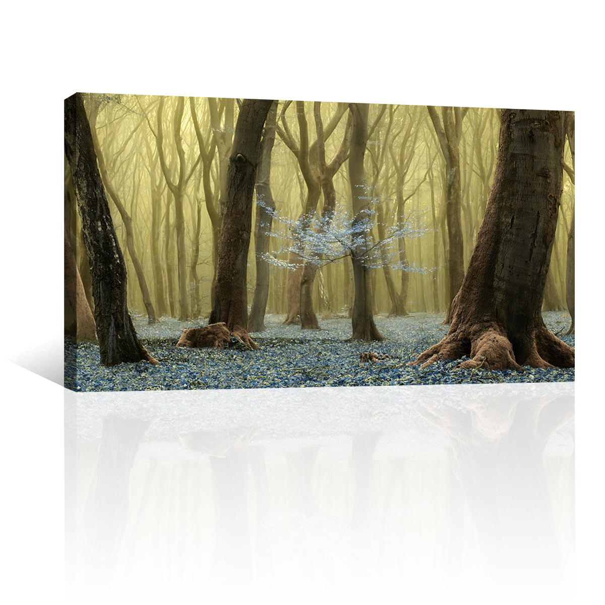Bosque Y Flores Secreta