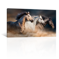 Caballos Galopando