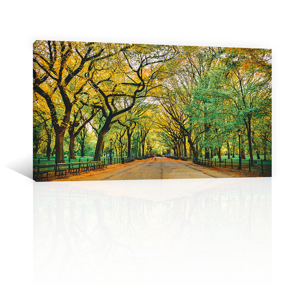 Central Nueva york
