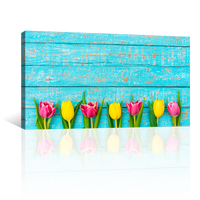 Tulipanes Colores