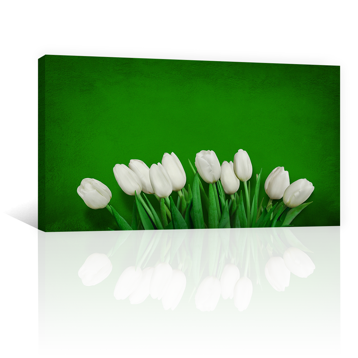 Tulipanes En Color Blanco