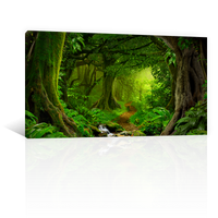 Bosque y Selva Tropical