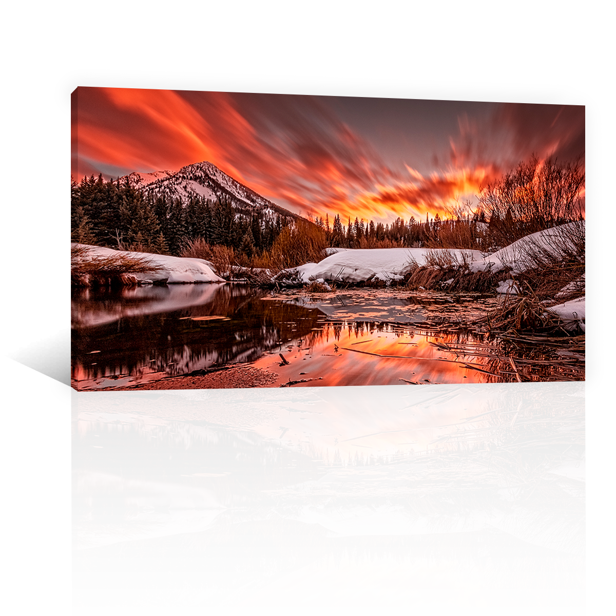Lago Cottonwood
