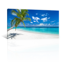 Playa Paraiso Tropical