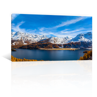 Lago Sils Otoño Dorado