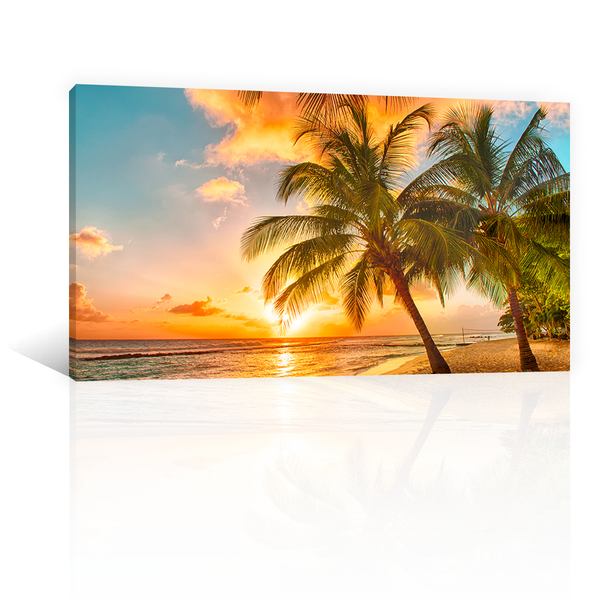 Playa Mar Palmera