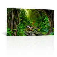 Bosque Tropical