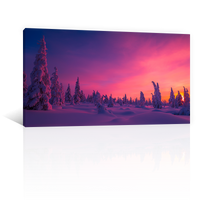 Invierno Vibrante