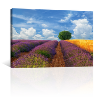 Campos Y Arbol