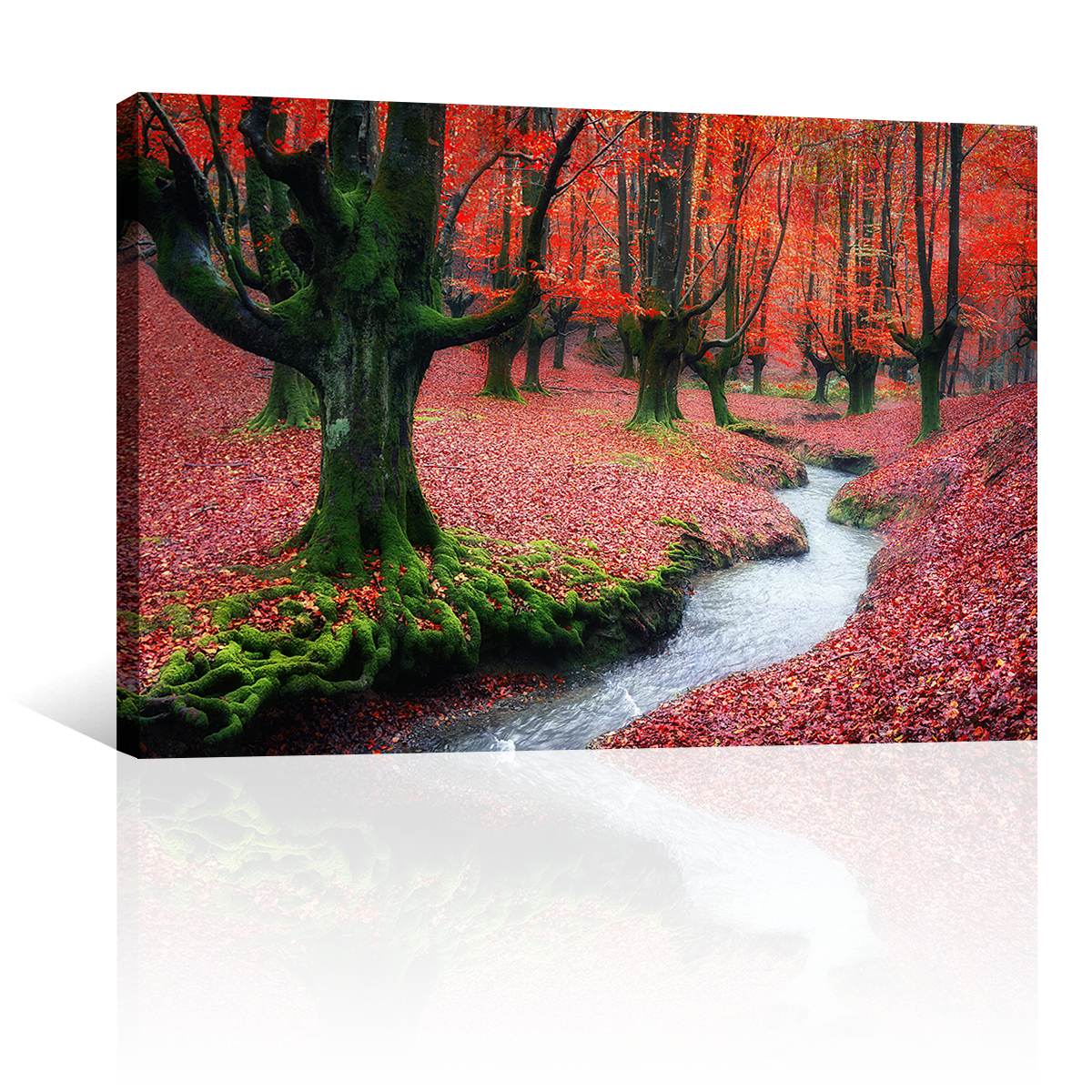 Bosque Corriente