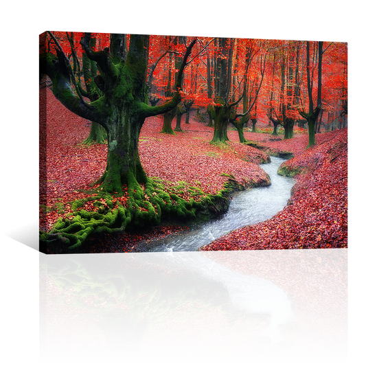 Bosque Corriente