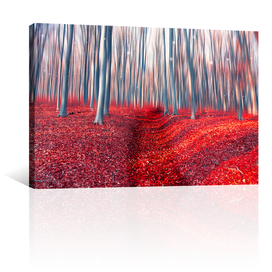 Bosque Encantado