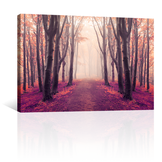 Bosque Simetrico