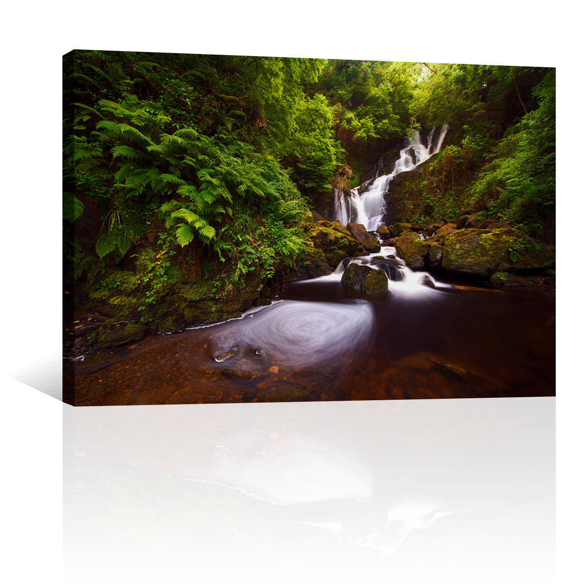 Cascada En Bosque