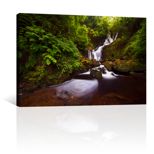 Cascada En Bosque