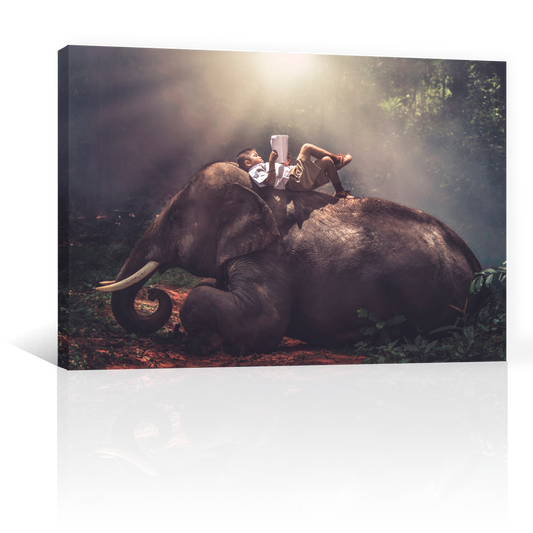 Niño Sobre Elefante