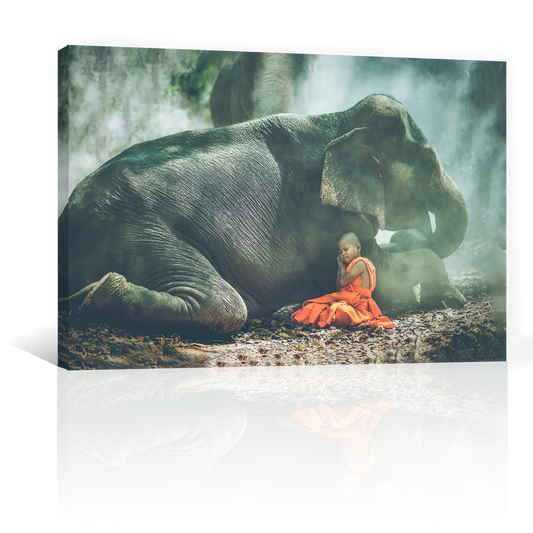 Niño Y Elefante Acostados