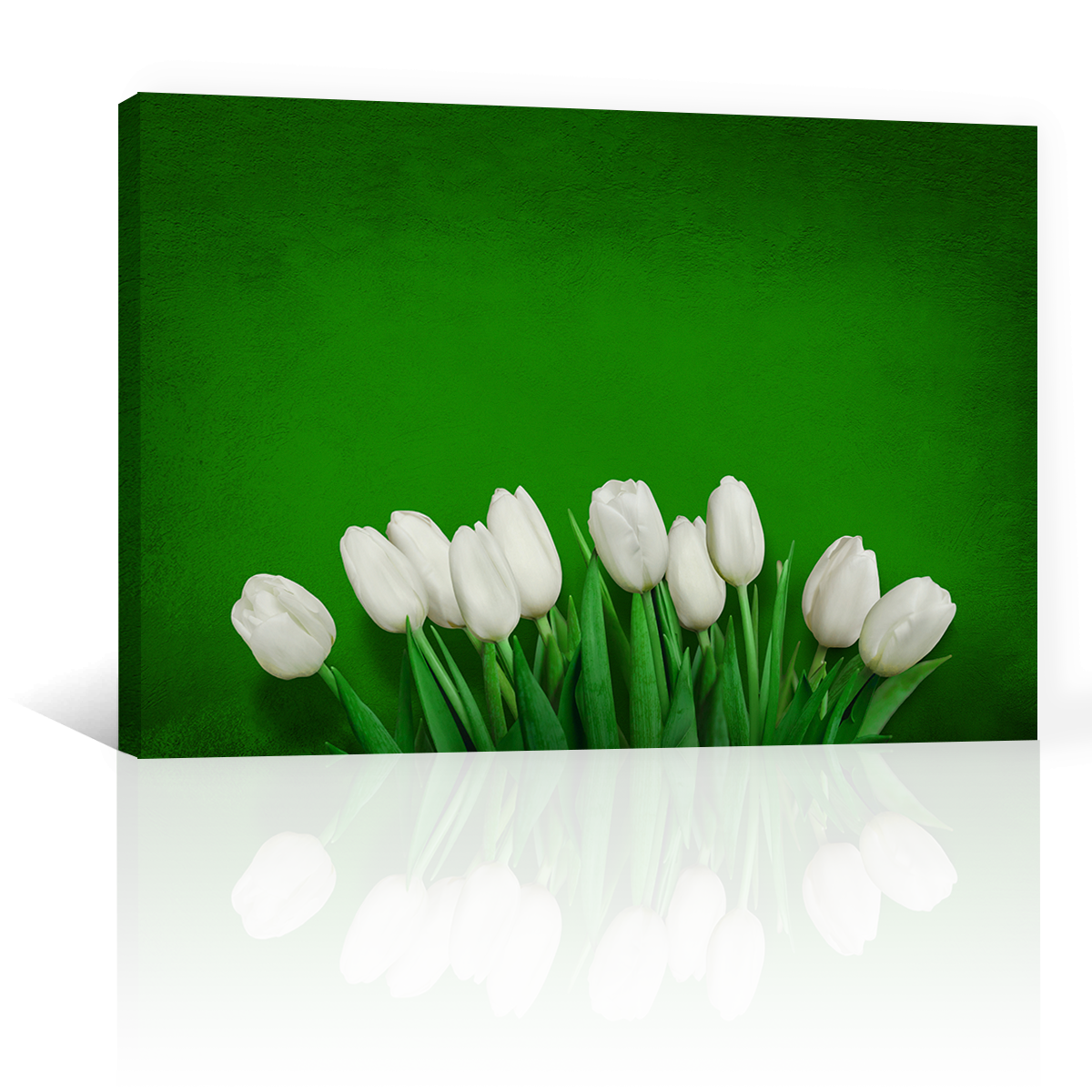 Tulipanes En Color Blanco