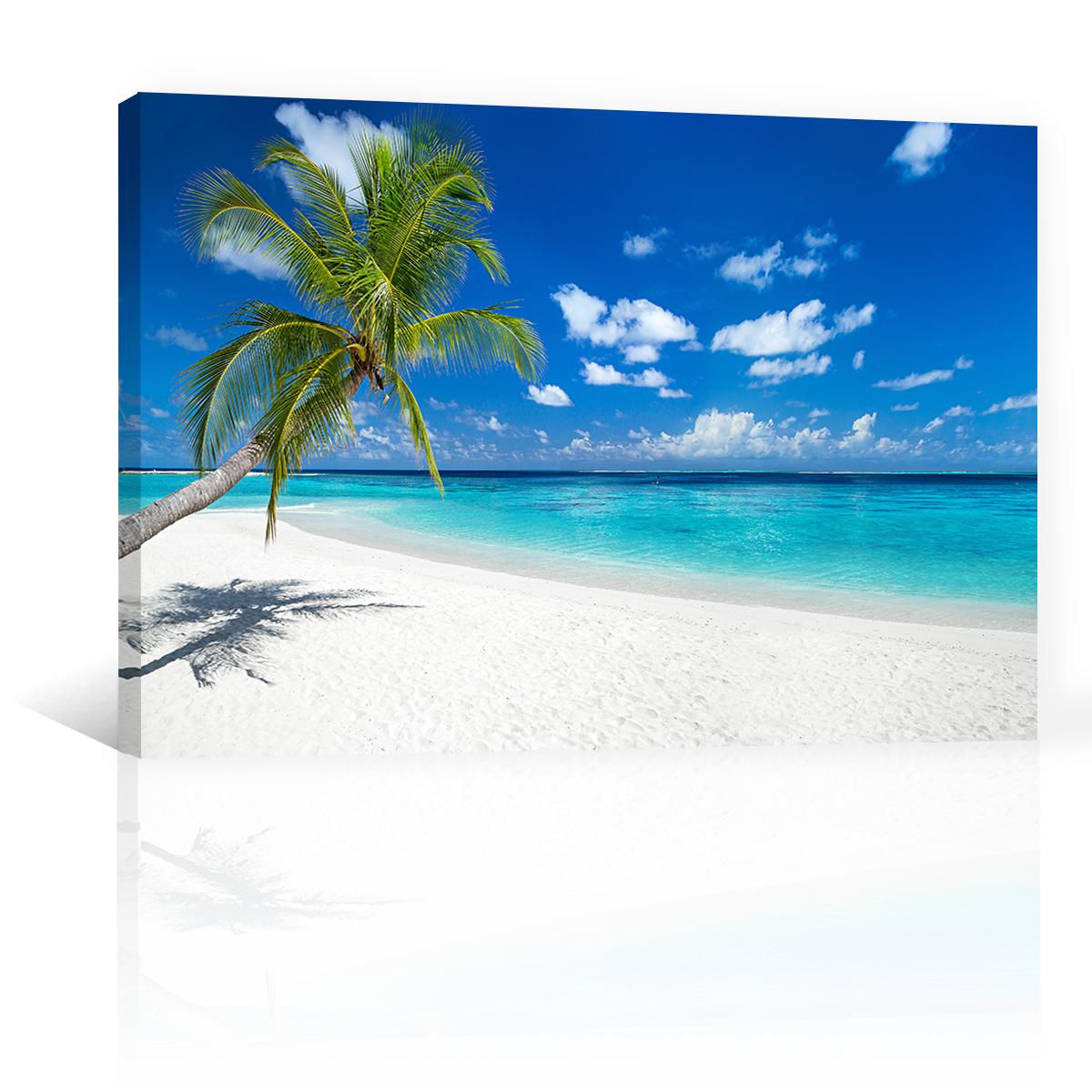 Playa Paraiso Tropical