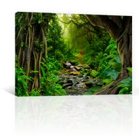 Bosque Tropical