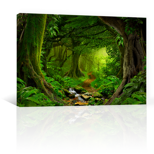 Bosque y Selva Tropical