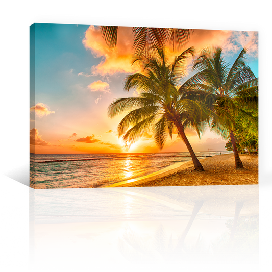 Playa Mar Palmera