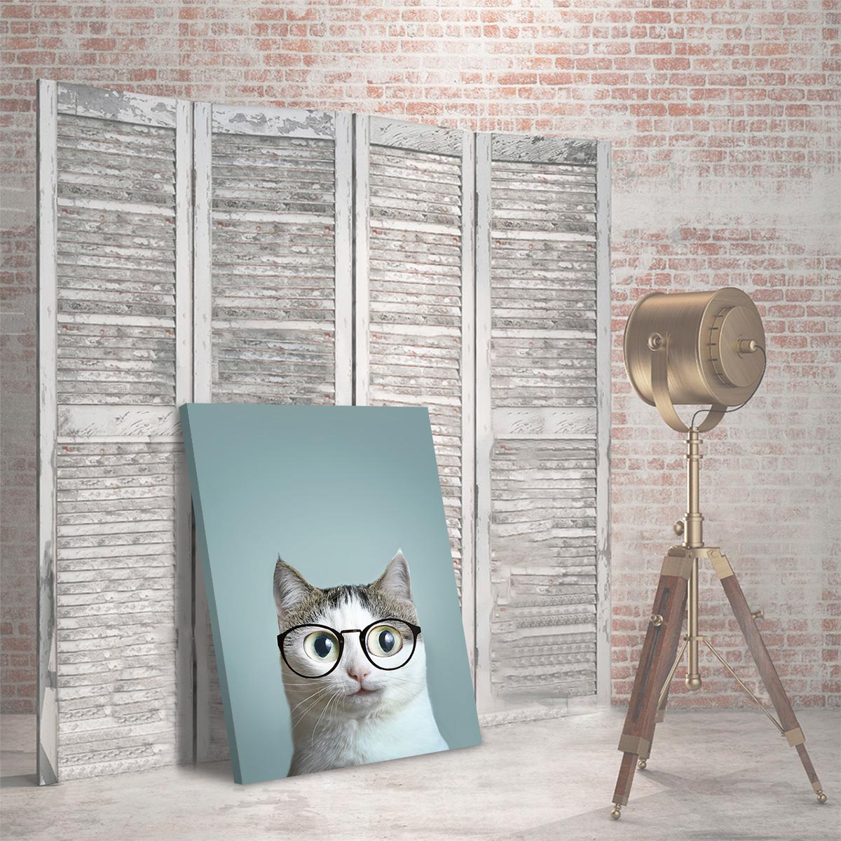 Gato con lentes