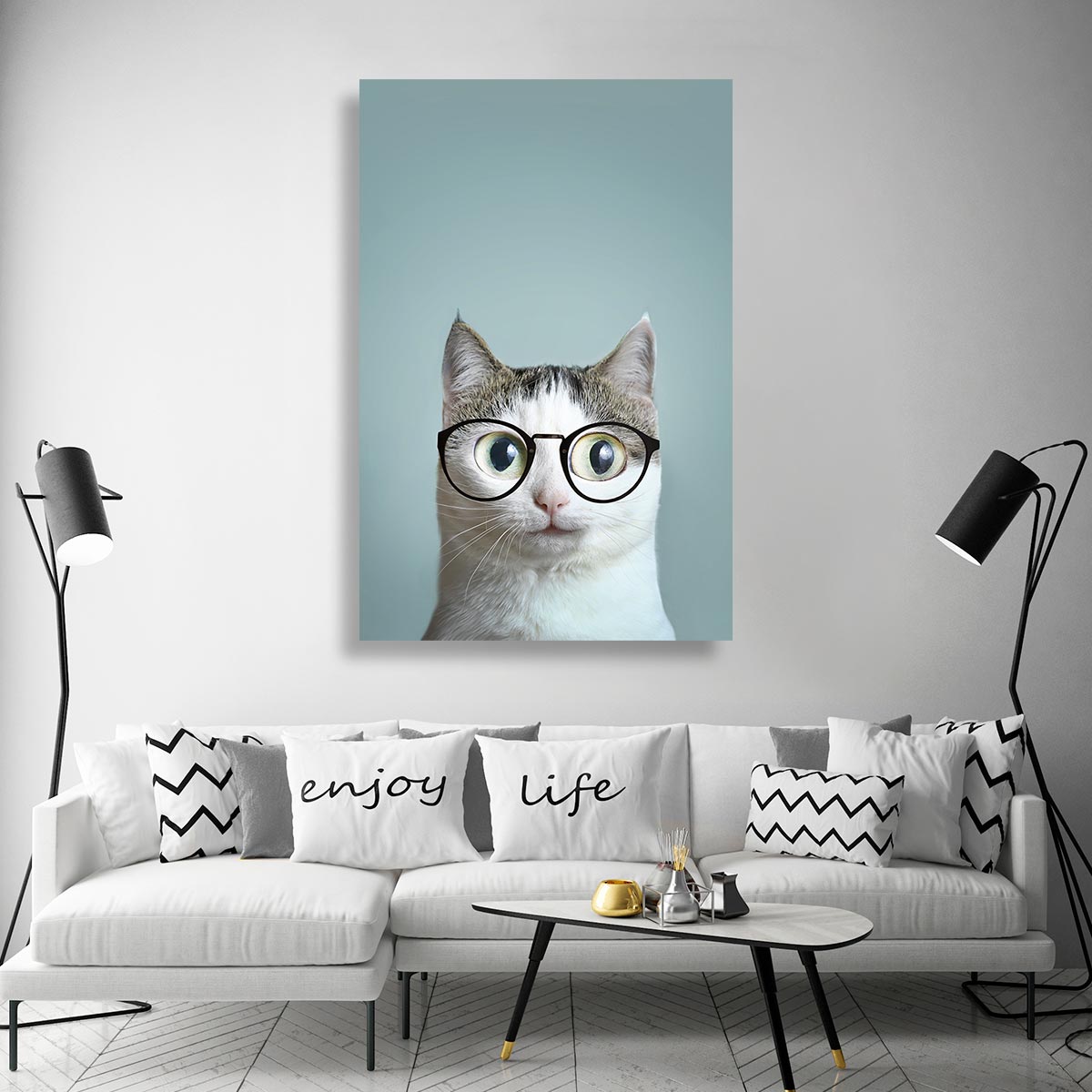 Gato con lentes