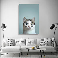 Gato con lentes