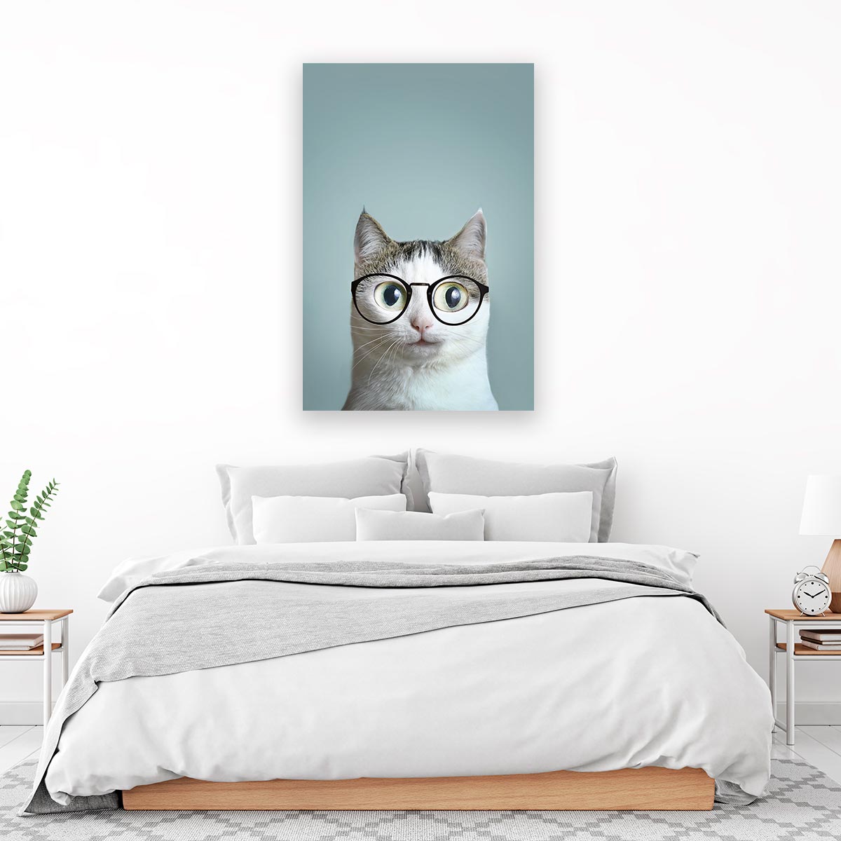 Gato con lentes