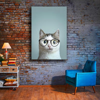 Gato con lentes