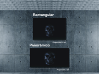 Craneo plateado