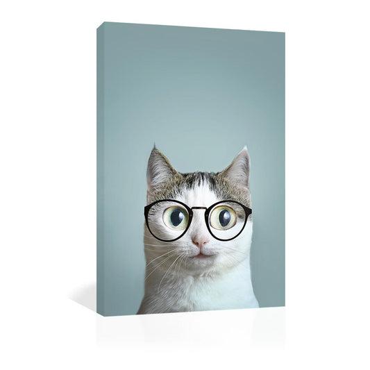 Gato con lentes