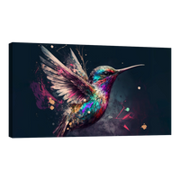 Colibri Colorido