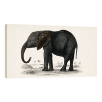 Historia De La Tierra Y La Naturaleza Animada Por Oliver Goldsmith