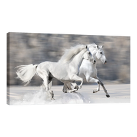 Caballos Blancos Corriendo