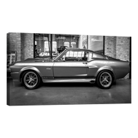 Shelby GT 500