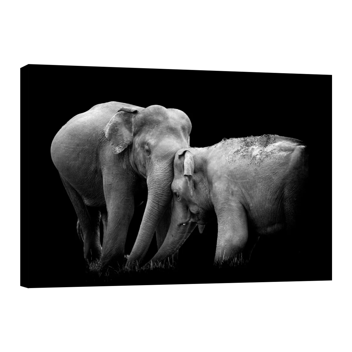 Frente a Frente