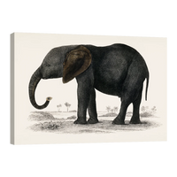 Historia De La Tierra Y La Naturaleza Animada Por Oliver Goldsmith