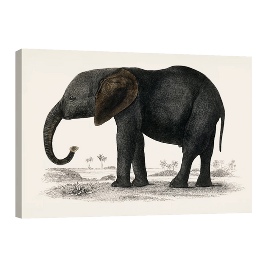Historia De La Tierra Y La Naturaleza Animada Por Oliver Goldsmith