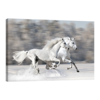 Caballos Blancos Corriendo