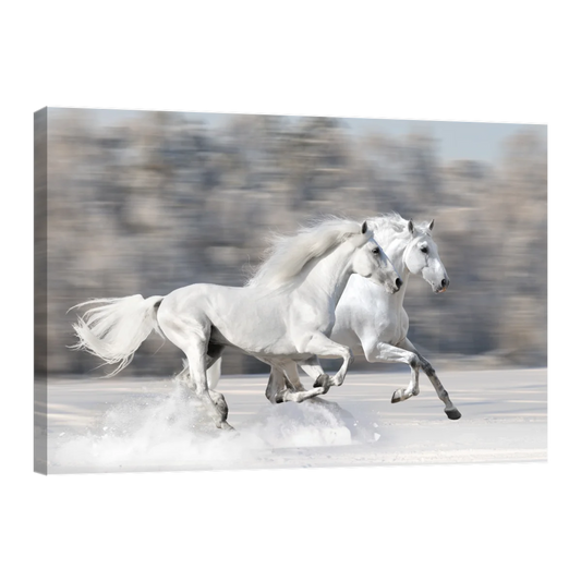 Caballos Blancos Corriendo