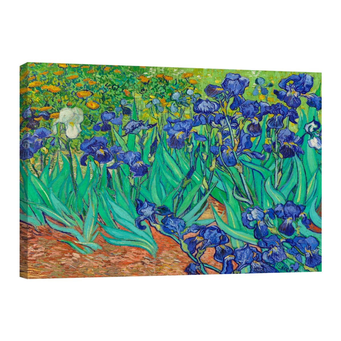 Arte Lirios Por Vincent Van Gogh