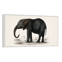 Historia De La Tierra Y La Naturaleza Animada Por Oliver Goldsmith