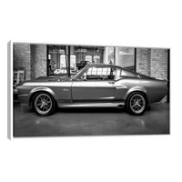 Shelby GT 500