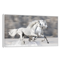 Caballos Blancos Corriendo